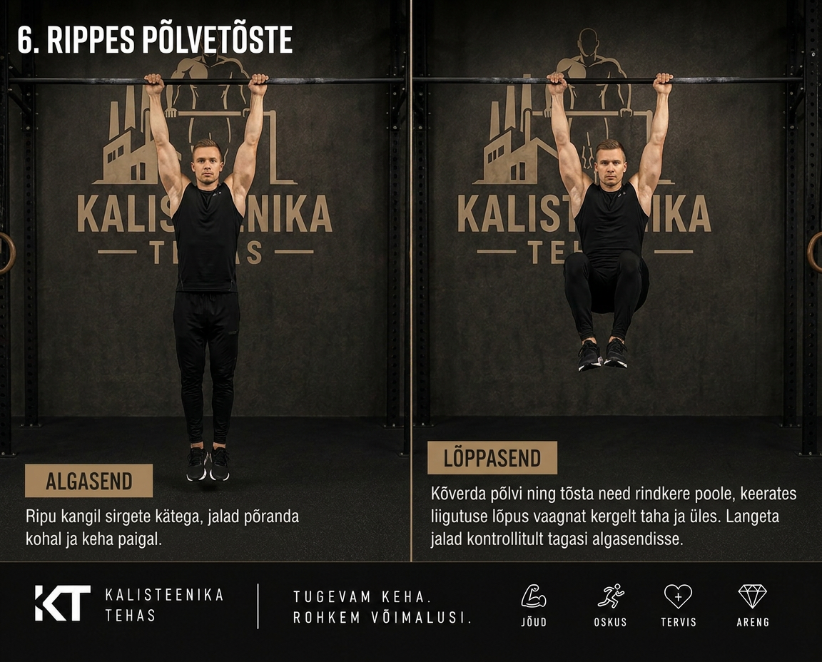Rippes põlvetõste