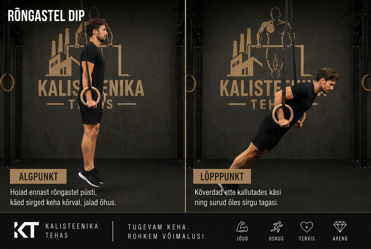 Dipid rõngastel