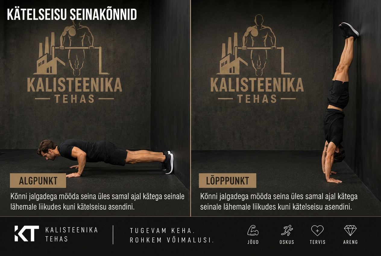 Kätelseisu seinakõnnid