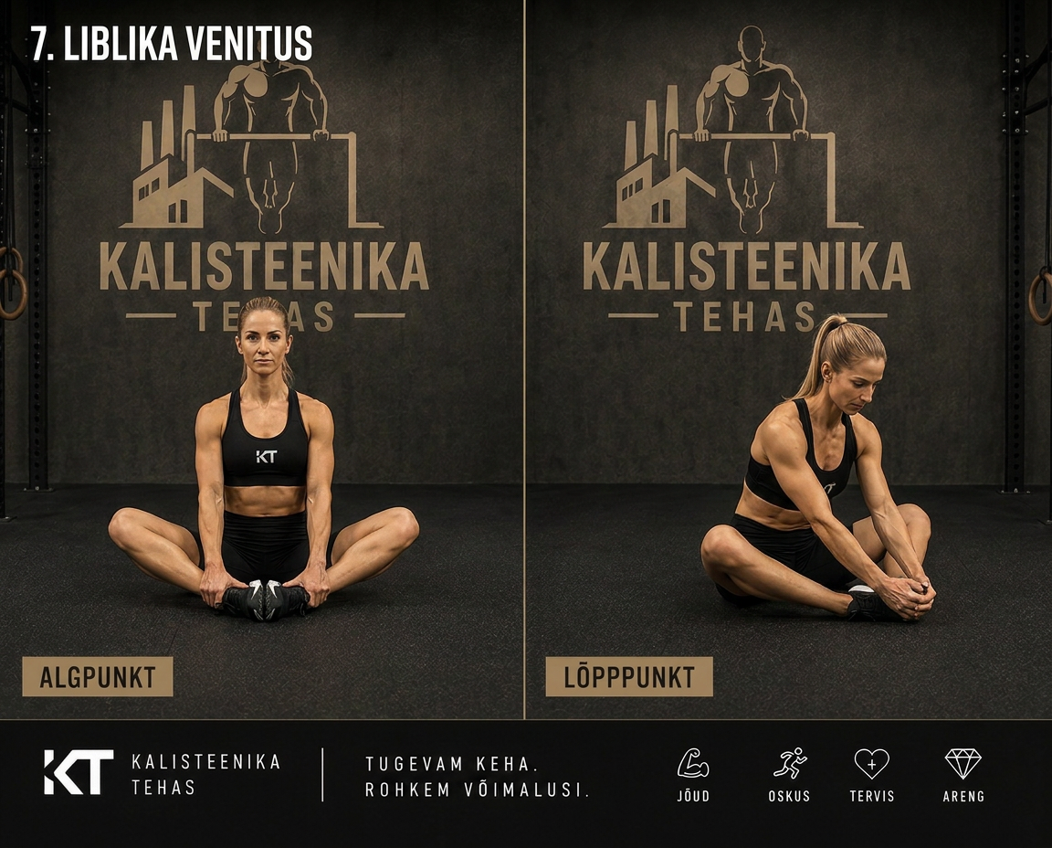 Liblika venitus