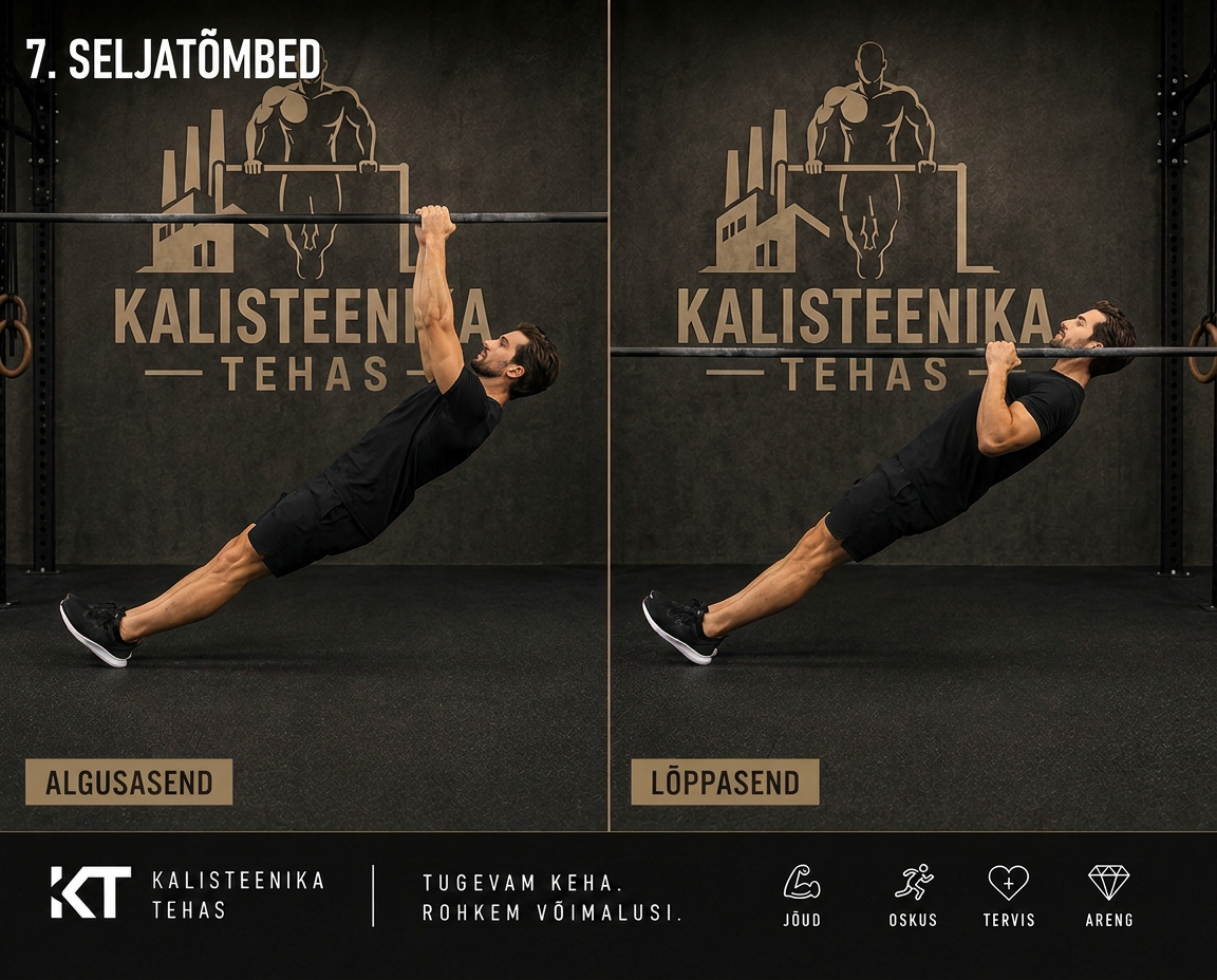 Seljatõmbed