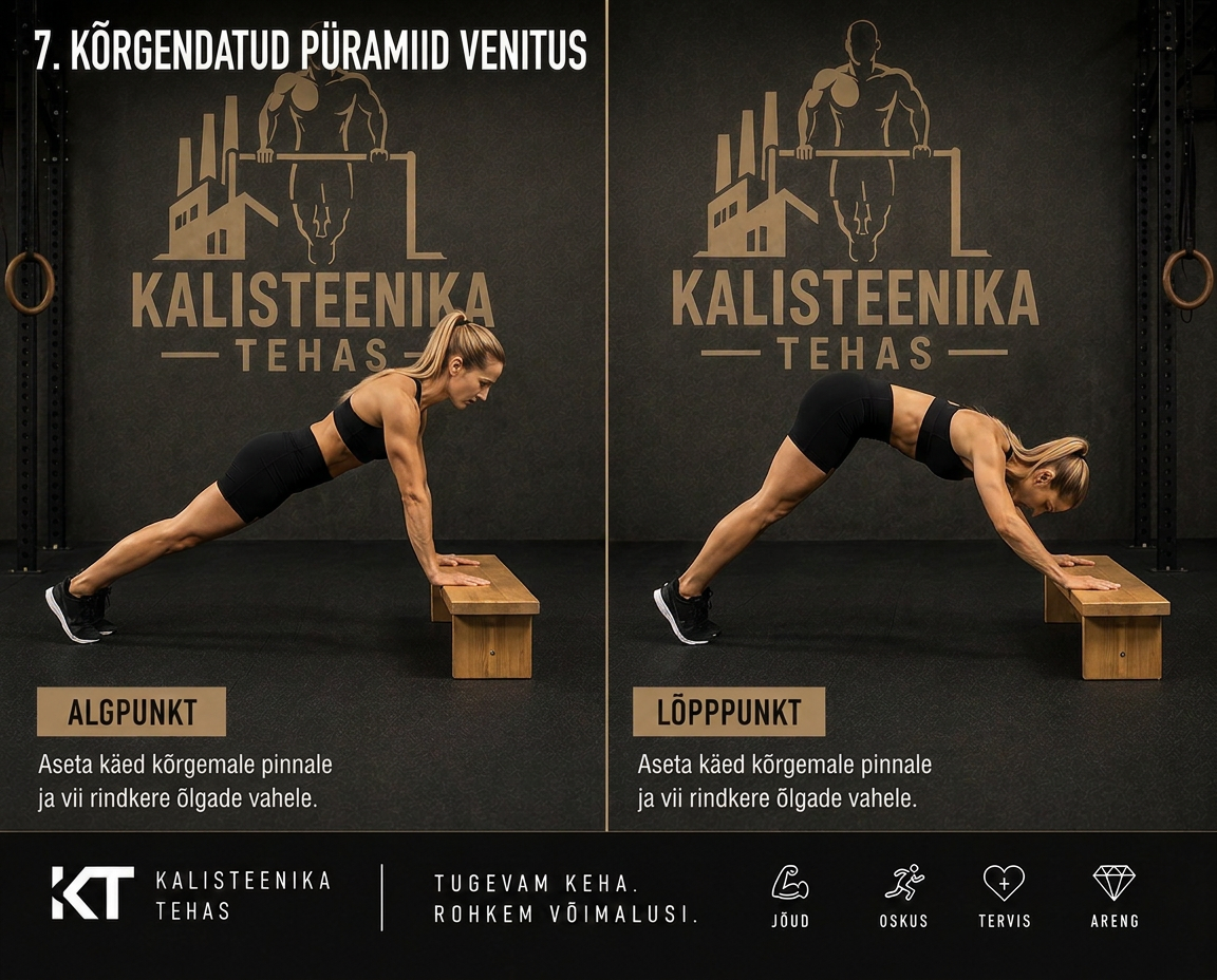 Kõrgendatud püramiidvenitus