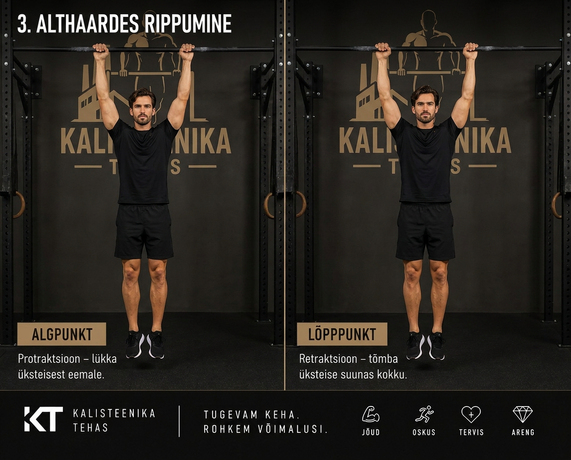 Althaardes rippumine
