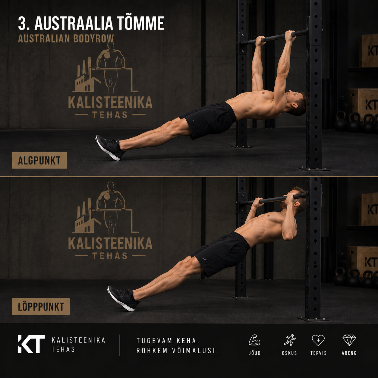 Austraalia lõuatõmme/ Australian bodyrow